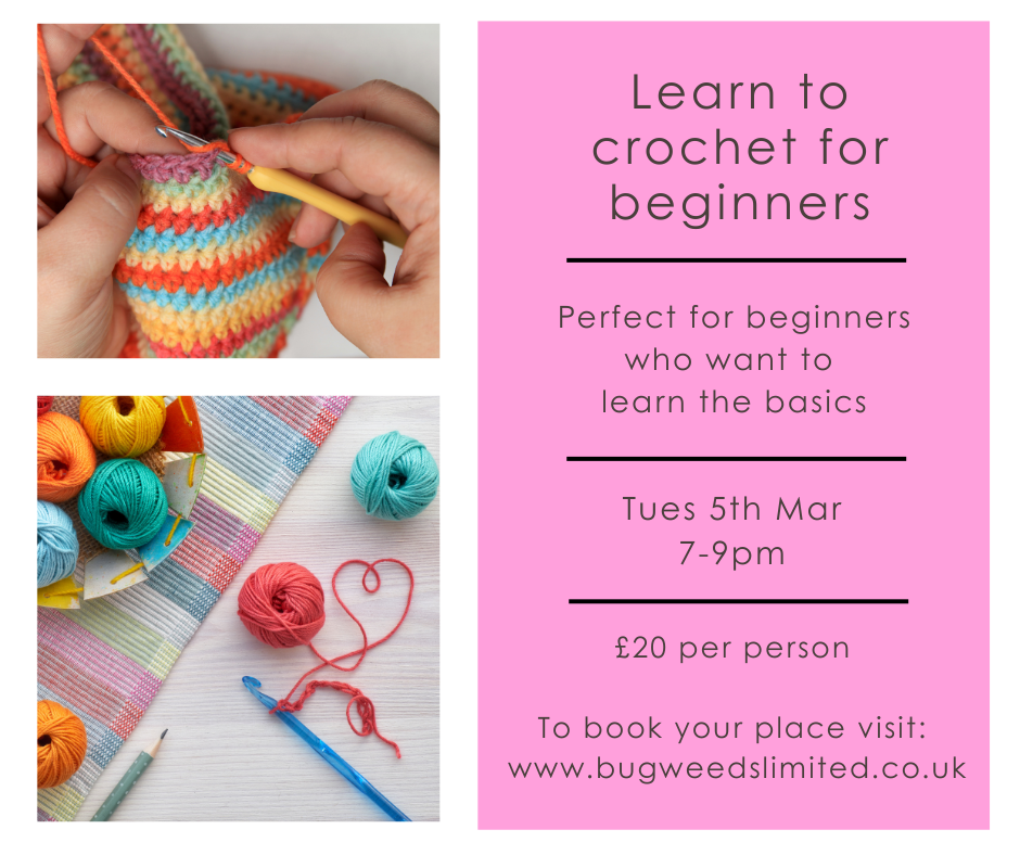 learn-to-crochet-for-absolute-beginners-bugweeds-limited